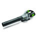 Ego EGLB5800E Leaf Blower with Flat Nozzle