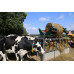 Wessex WXBFX180 Round Bale Feeder Wessex WXBFX180 Round Bale Feeder
