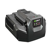 EGO STANDARD CHARGER