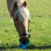 Bizzy Bites Toy