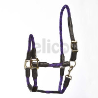 Elico Galway Headcollar