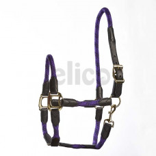Elico Galway Headcollar