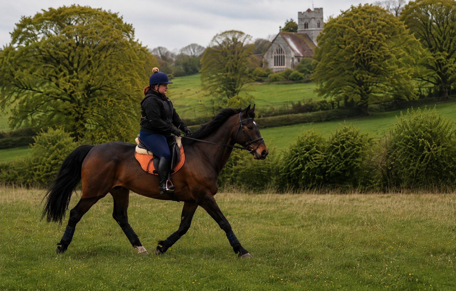 Equestrian